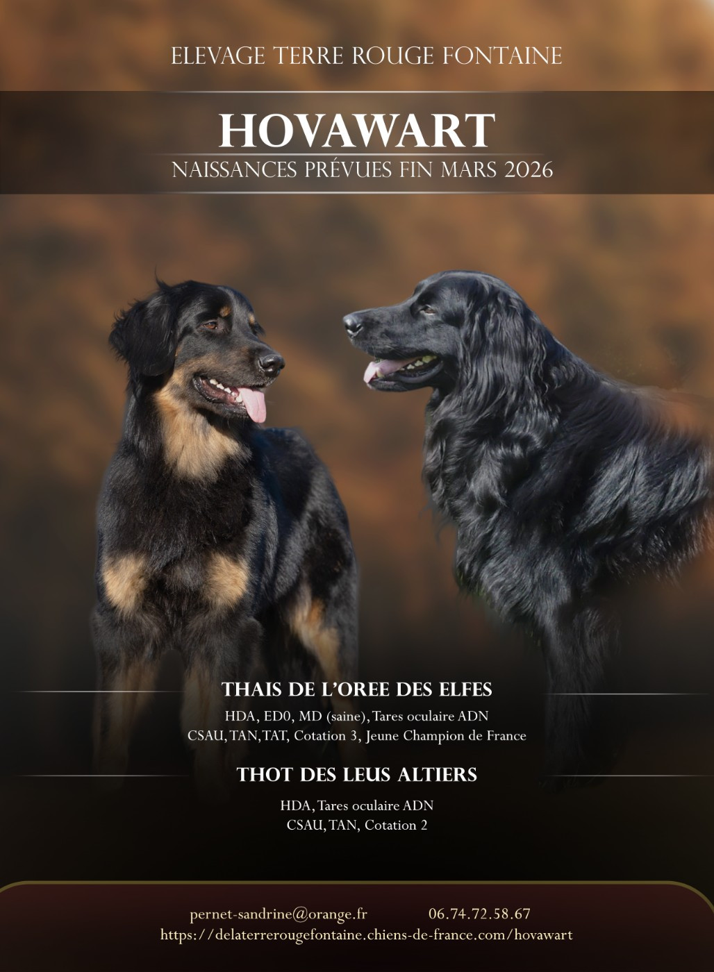 Les amoureux se sont rencontrés