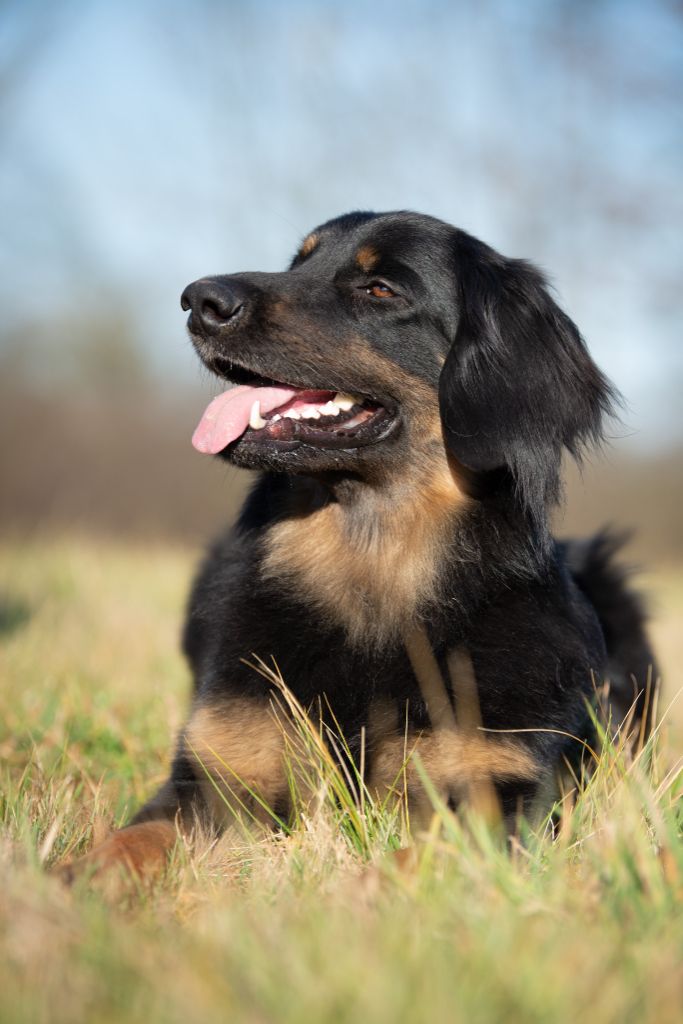 Portée prévue en 2026